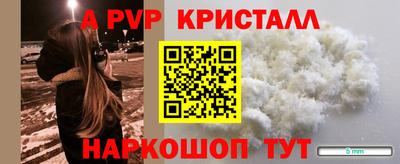 стаф Кунгур