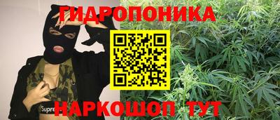 стаф Кунгур